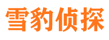 山亭市调查公司